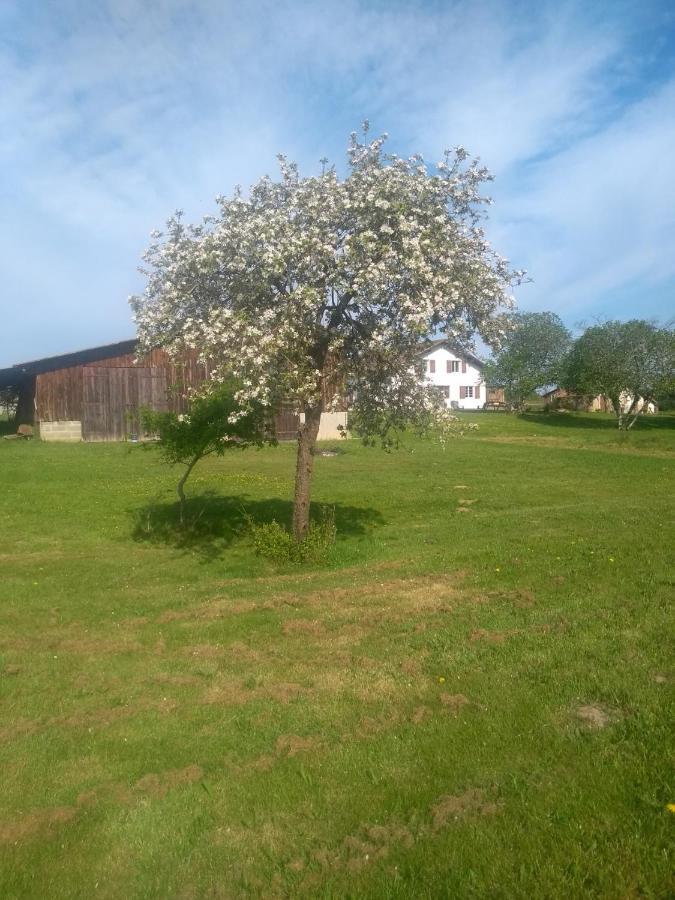 La Maison De Pescate Souprosse Esterno foto
